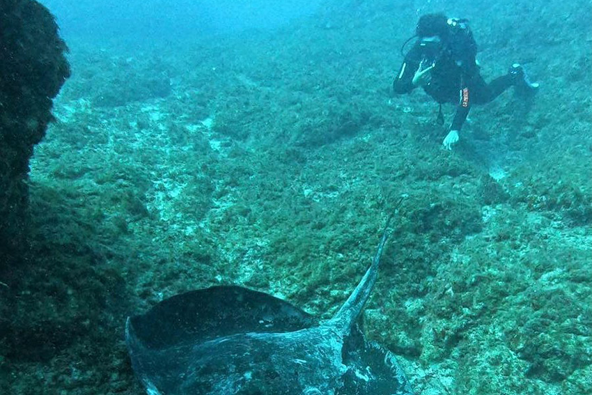 La morena - formation padi