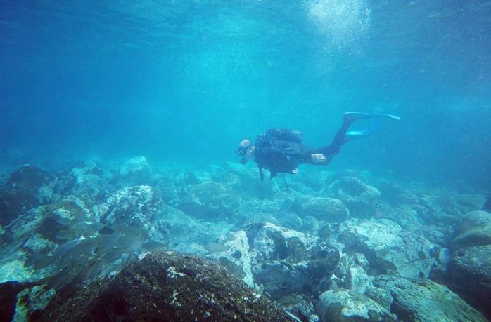 La morena - plongée loisir